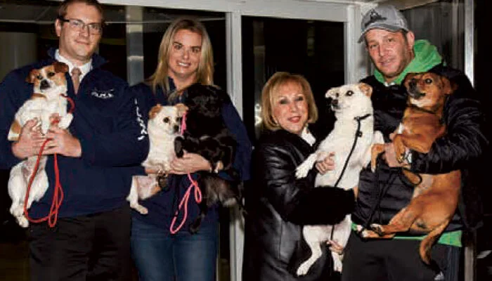 Jason Walker Real estate Rescue Dogs